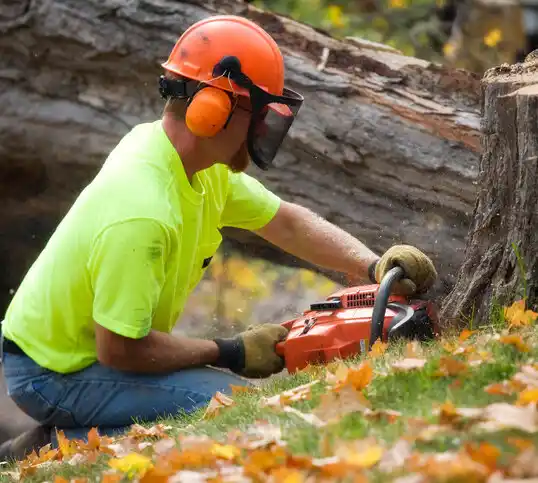 tree services St. George